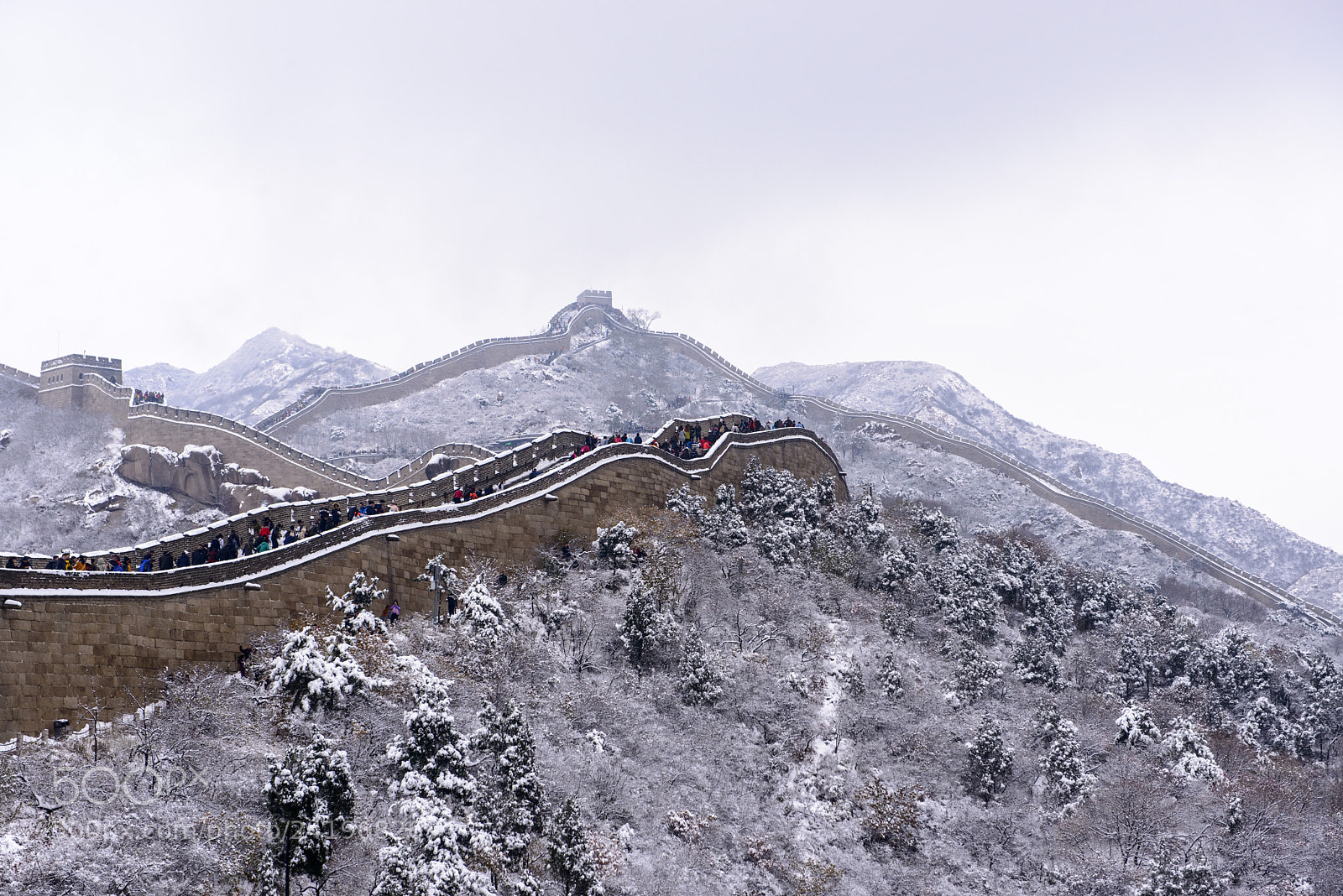 Nikon D800 sample photo. The snowy great wall photography