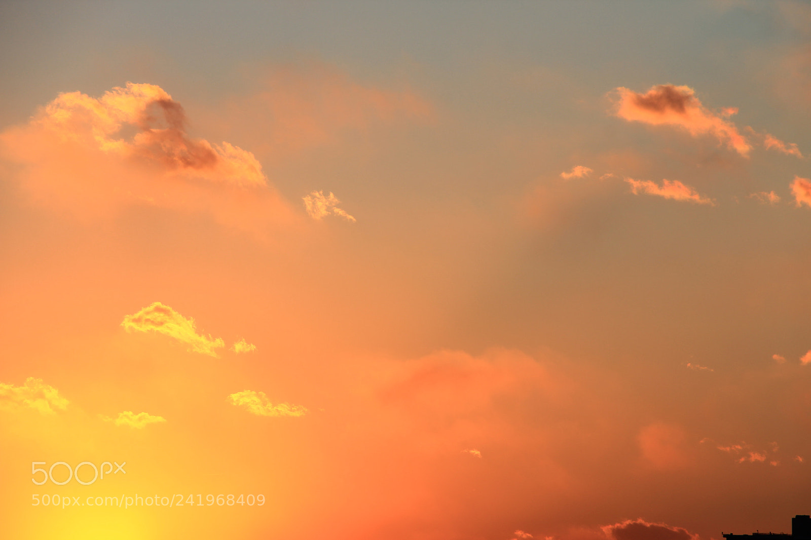 Canon EF-S 18-200mm F3.5-5.6 IS sample photo. 我家窗外（2） photography
