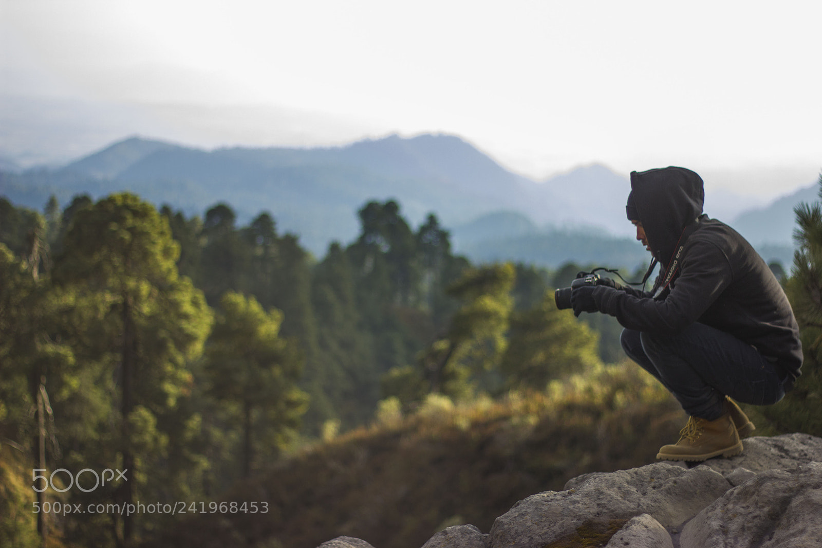 Canon EOS 550D (EOS Rebel T2i / EOS Kiss X4) sample photo. Dado cortes photography