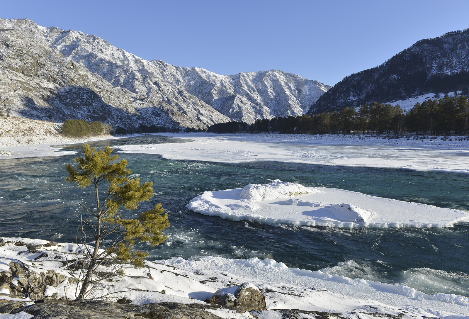 Nikon D800E sample photo. Katun river in winter photography