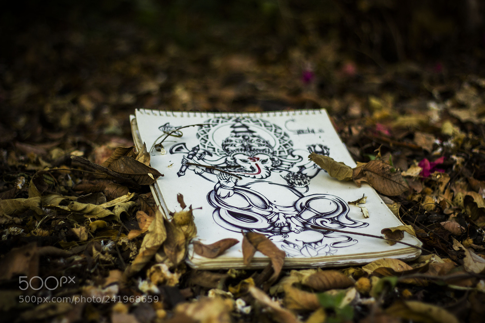 Canon EOS 550D (EOS Rebel T2i / EOS Kiss X4) sample photo. Ganesha photography