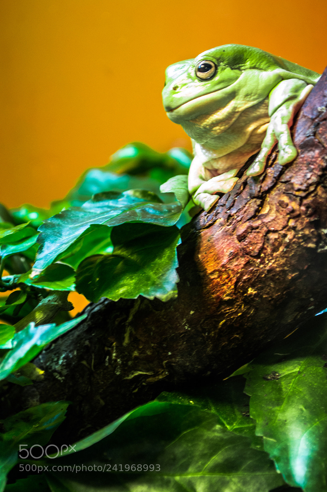 Nikon D3100 sample photo. Untitled photography