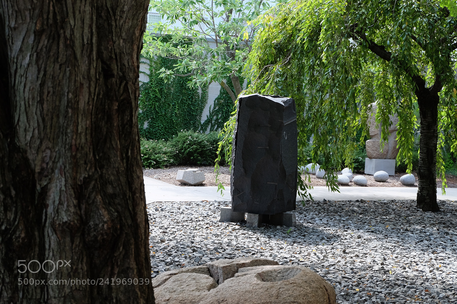Fujifilm X-T10 sample photo. Dscf photography