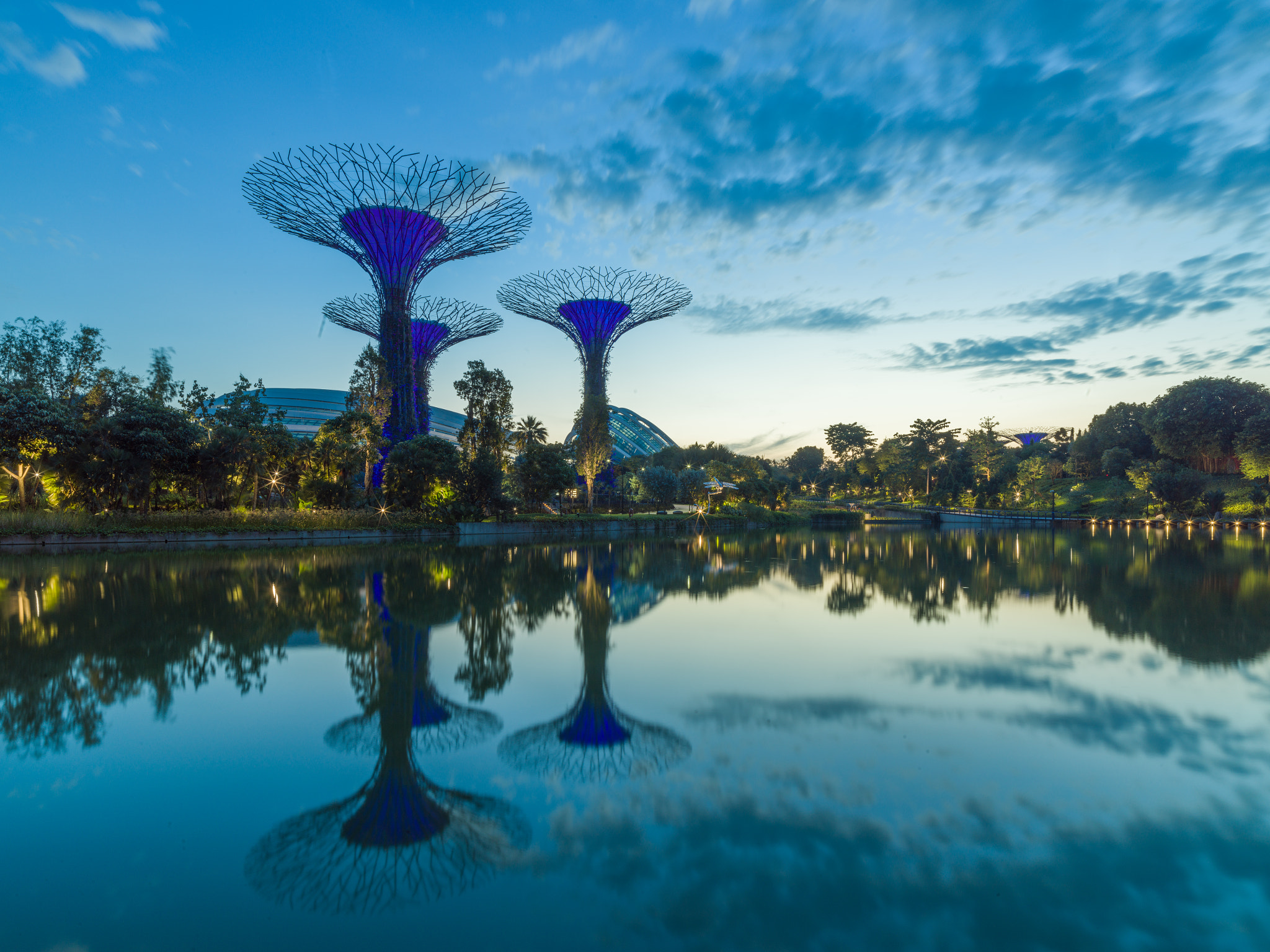 Hasselblad H6D sample photo. Morning in gardens by the bay photography