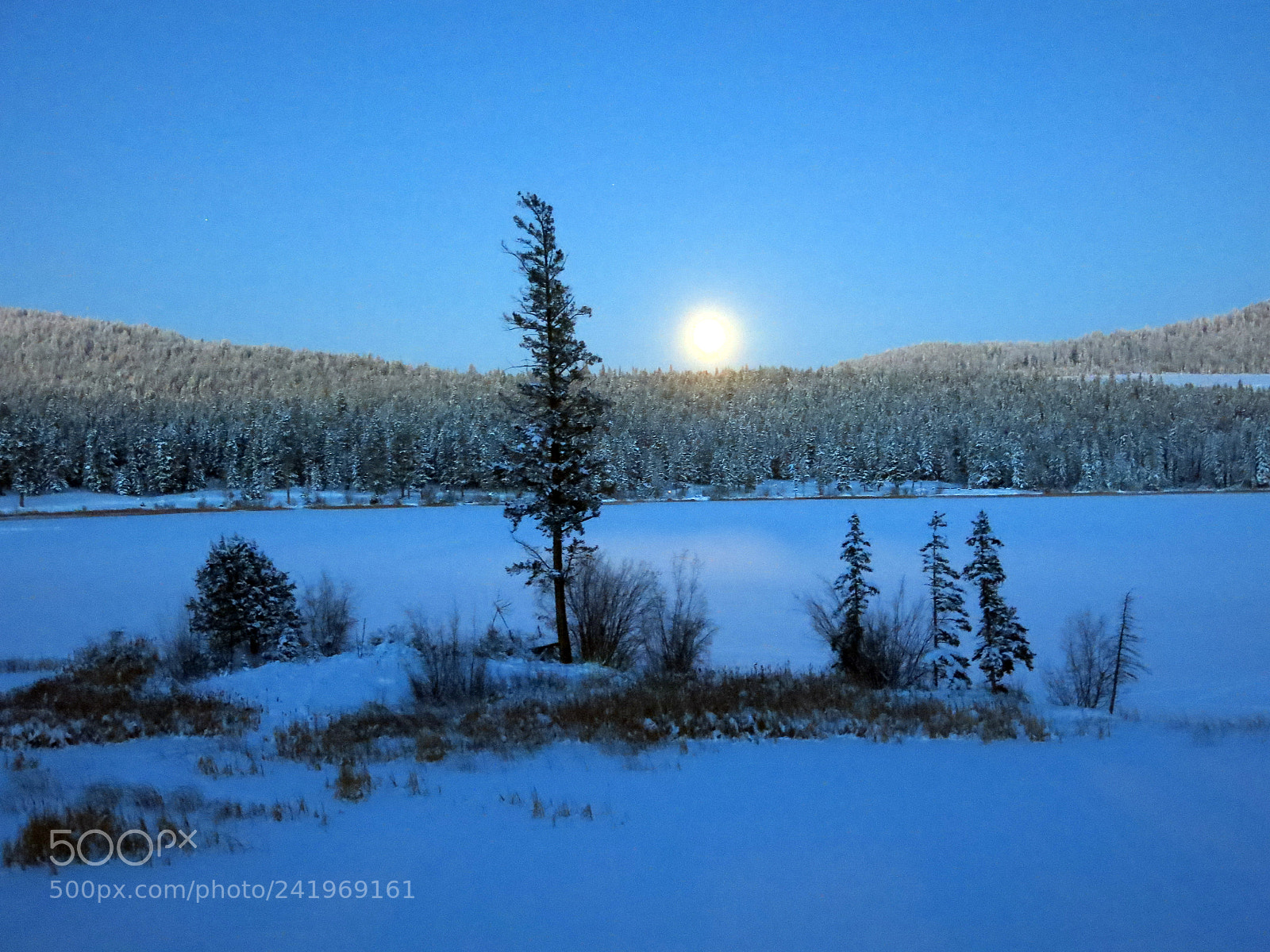 Canon PowerShot G15 sample photo. Img 2939-0.jpg winter full photography