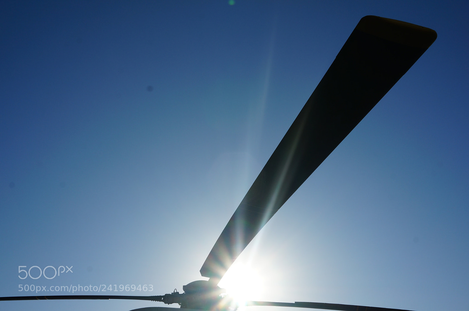 Sony Alpha NEX-5R sample photo. Untitled photography