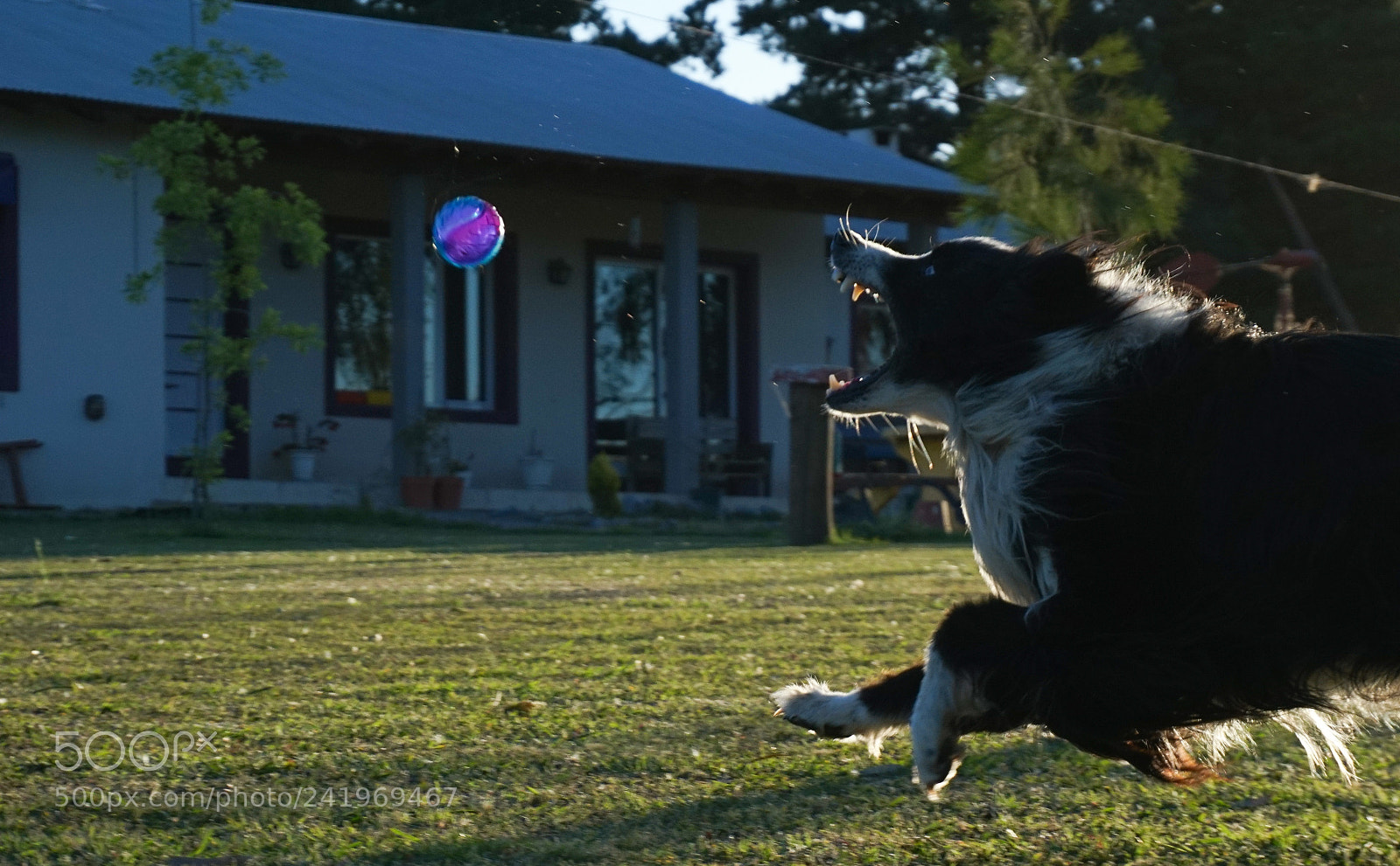 Sony a6300 sample photo. Inca photography