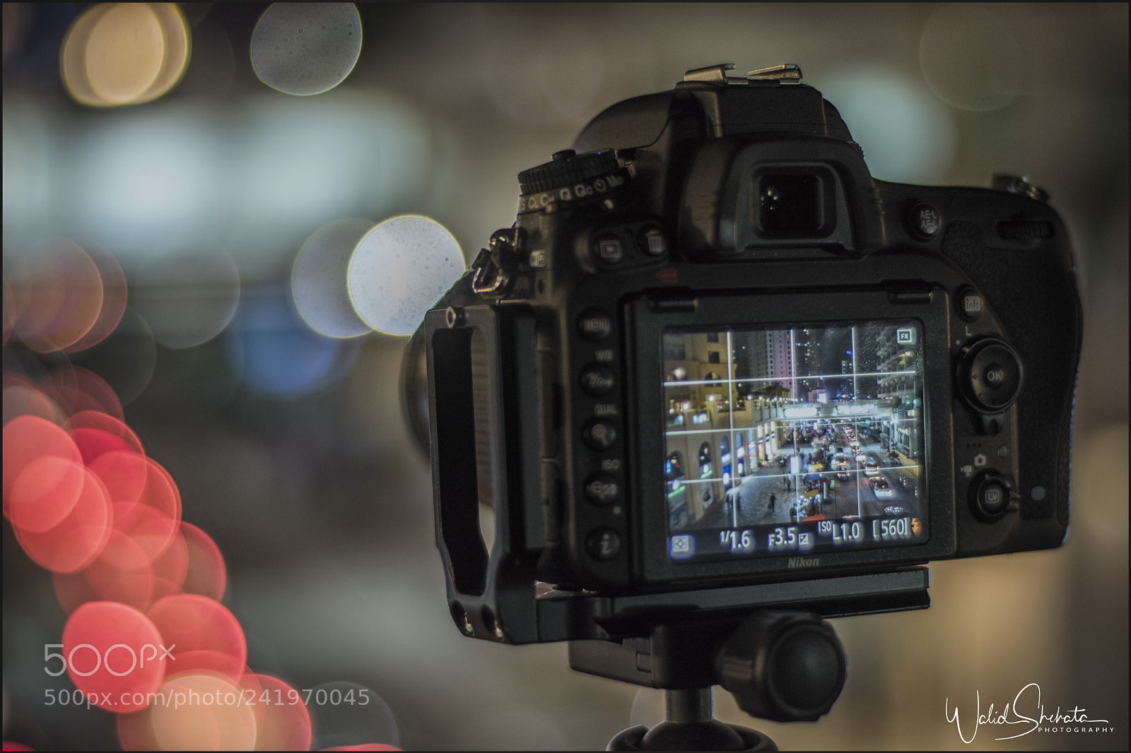 Nikon D5500 sample photo. Passion for photography photography
