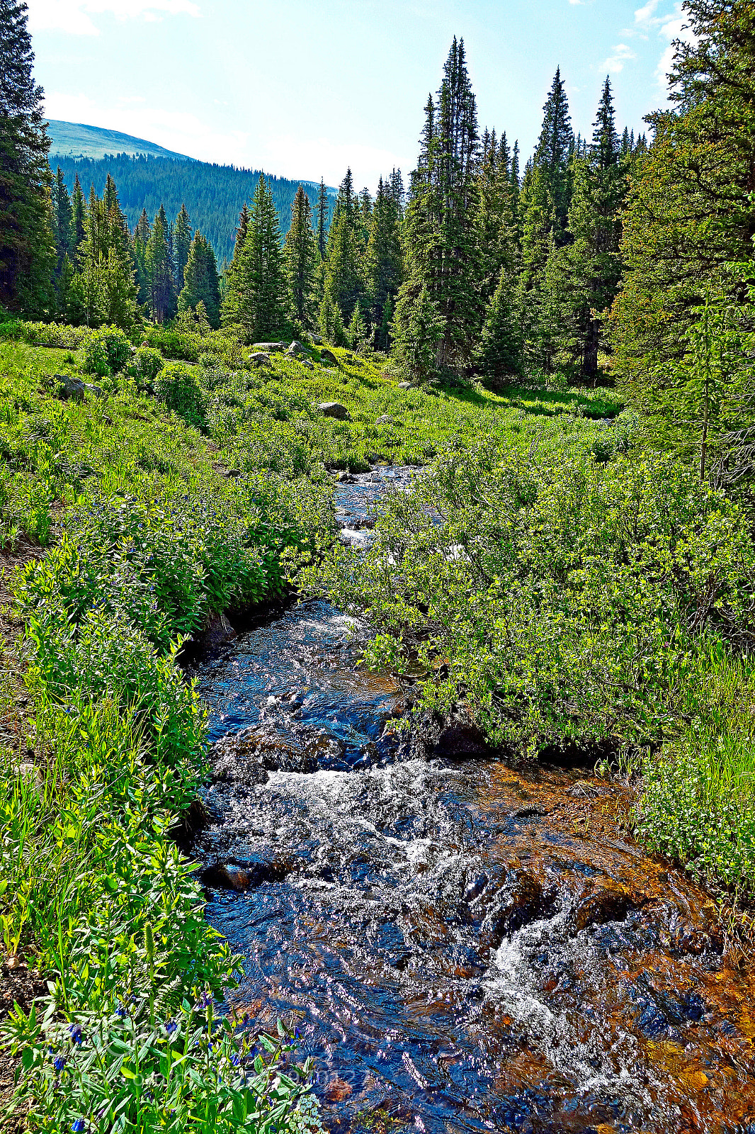 Sony Cyber-shot DSC-RX100 sample photo. South fork ranch creek photography