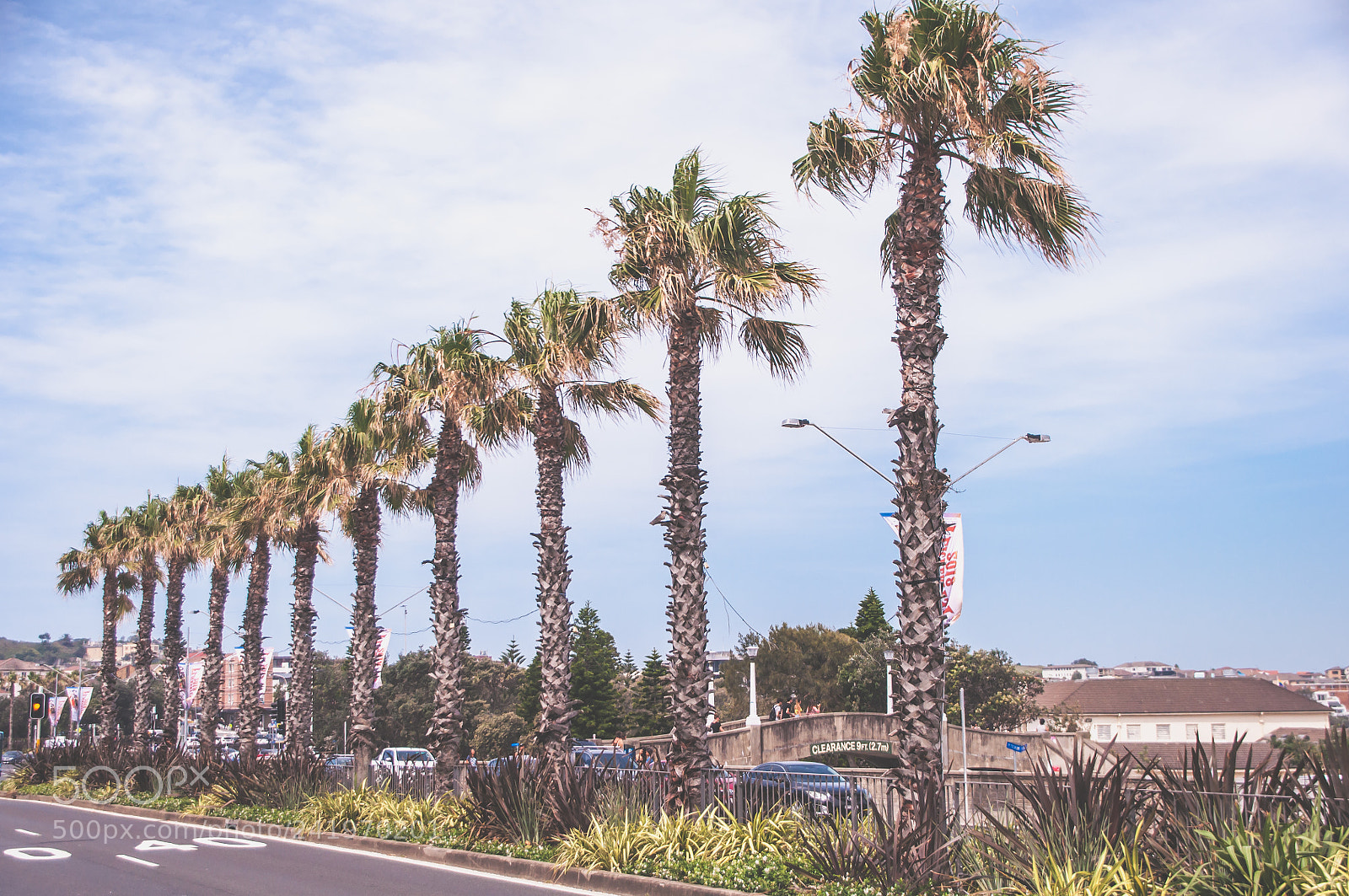 Nikon D5000 sample photo. Summer in bondi photography