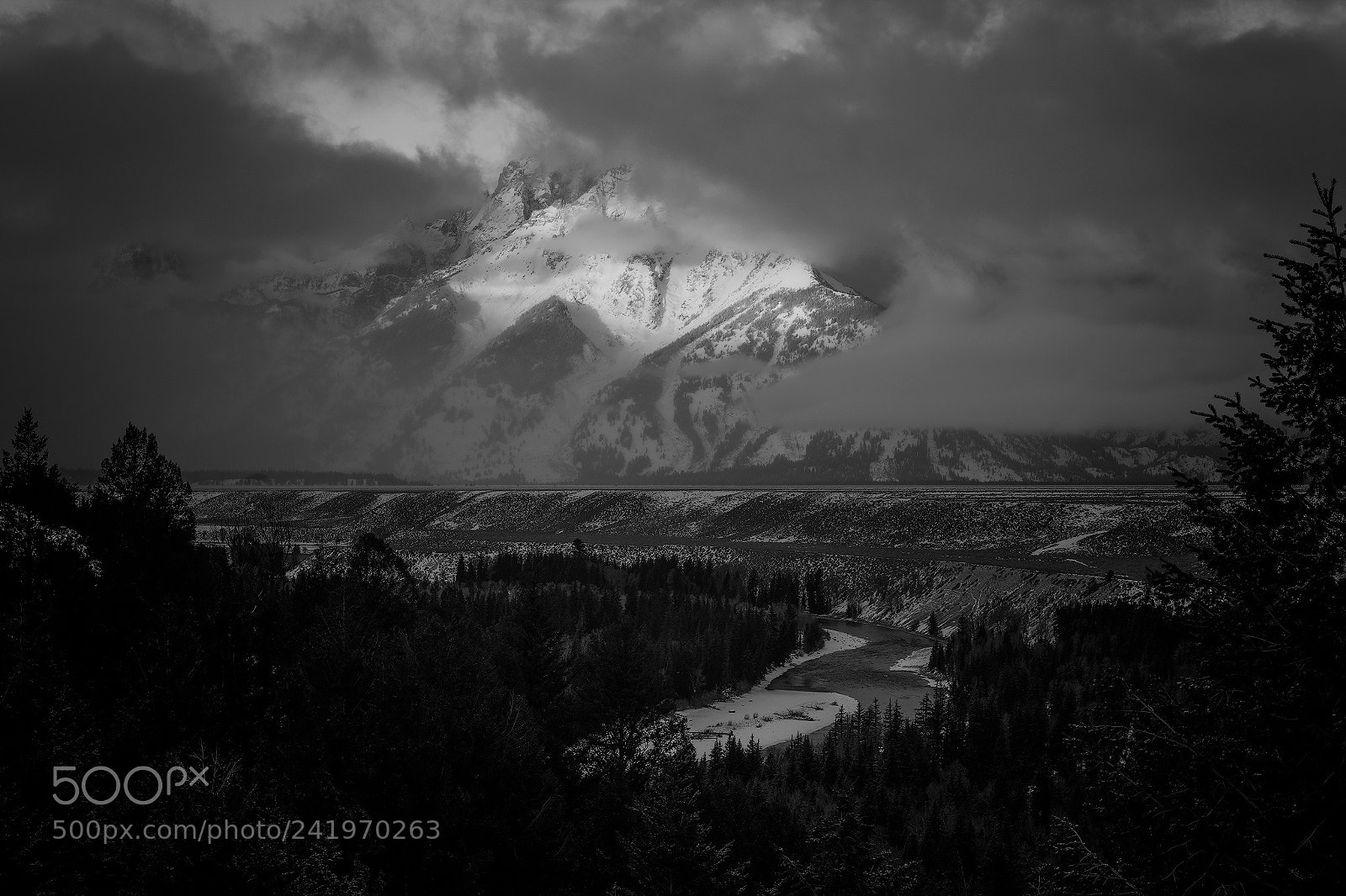 Nikon D850 sample photo. The shy tetons photography