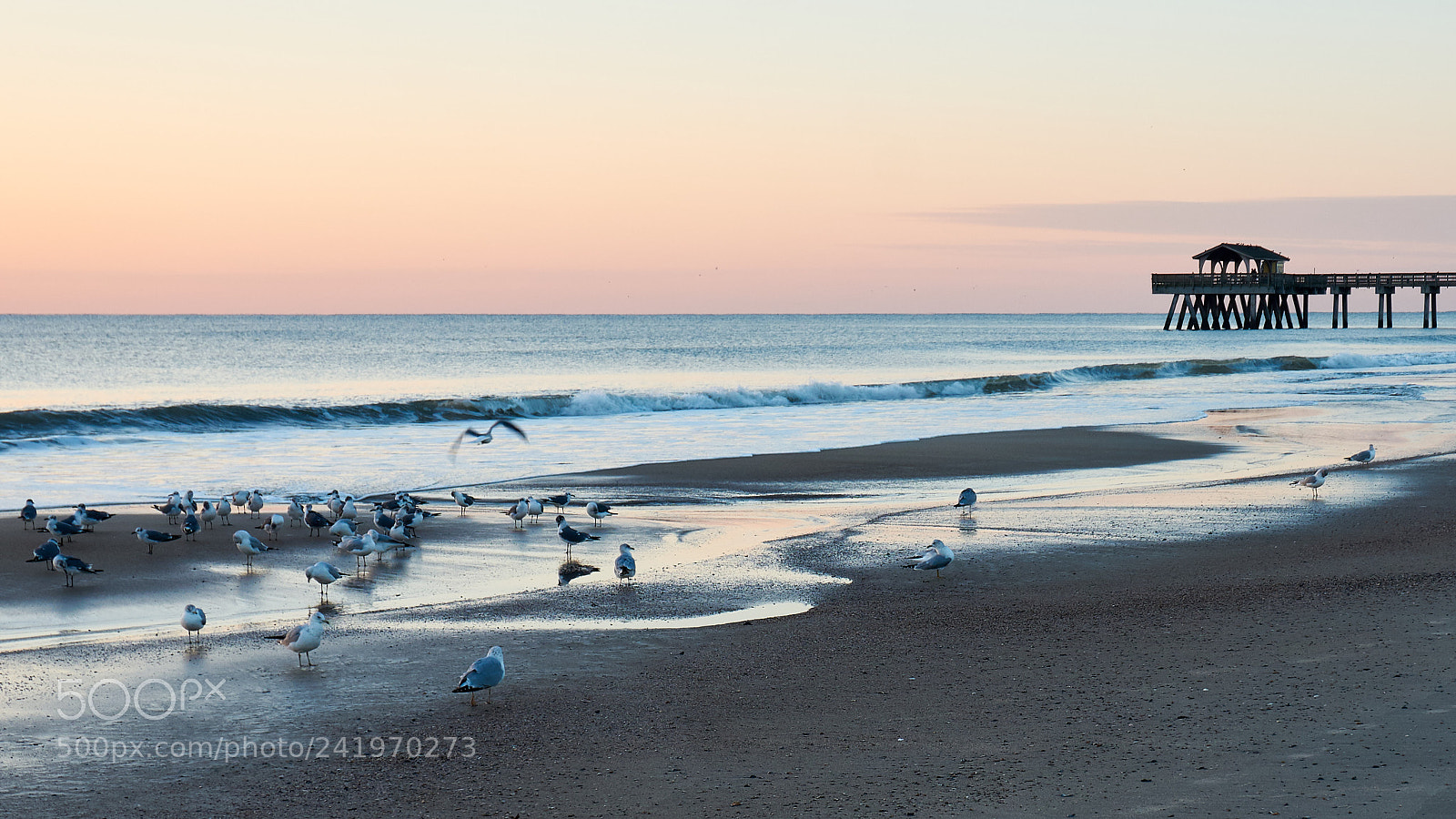 Sony Alpha a5000 (ILCE 5000) sample photo. Beach scene photography