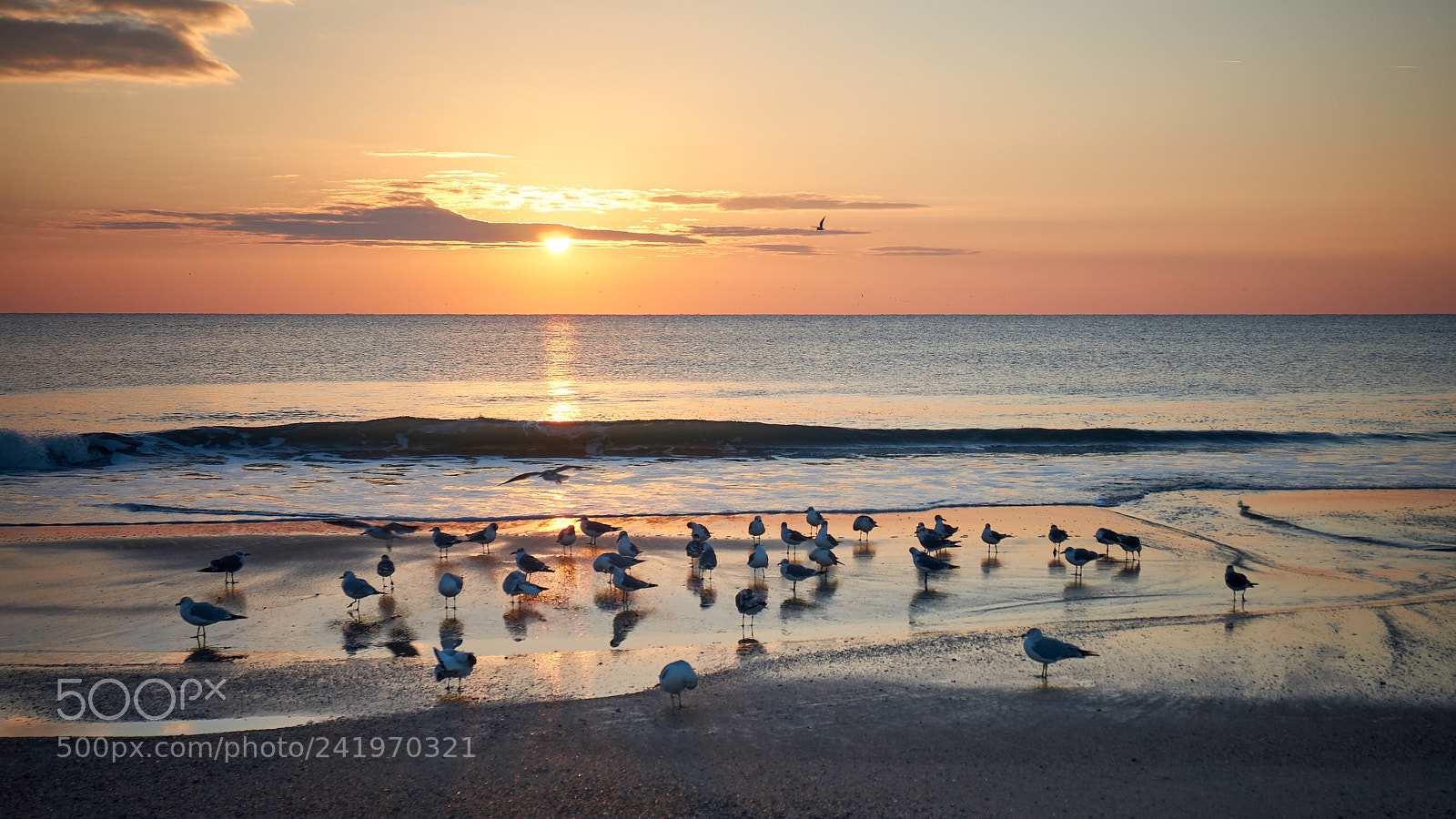 Sony Alpha a5000 (ILCE 5000) sample photo. Morning gathering photography