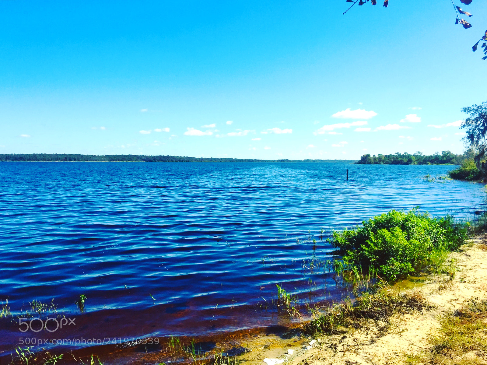 Apple iPhone 6 Plus sample photo. Silent lake photography