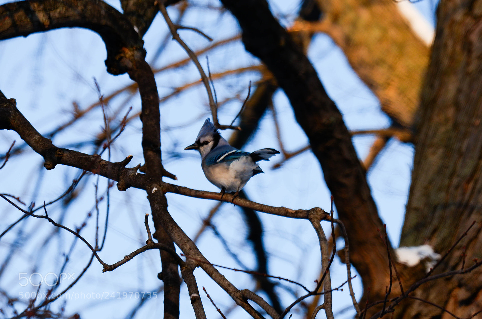 Fujifilm X-A3 sample photo. Bird's view photography