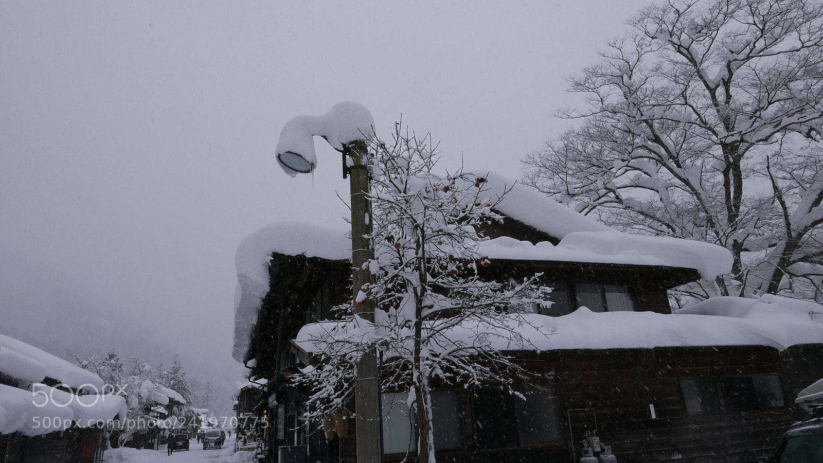 Leica D-Lux (Typ 109) sample photo. 冬雪。。。 photography