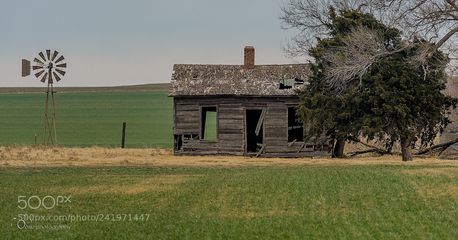 Nikon D4 sample photo. This old house photography