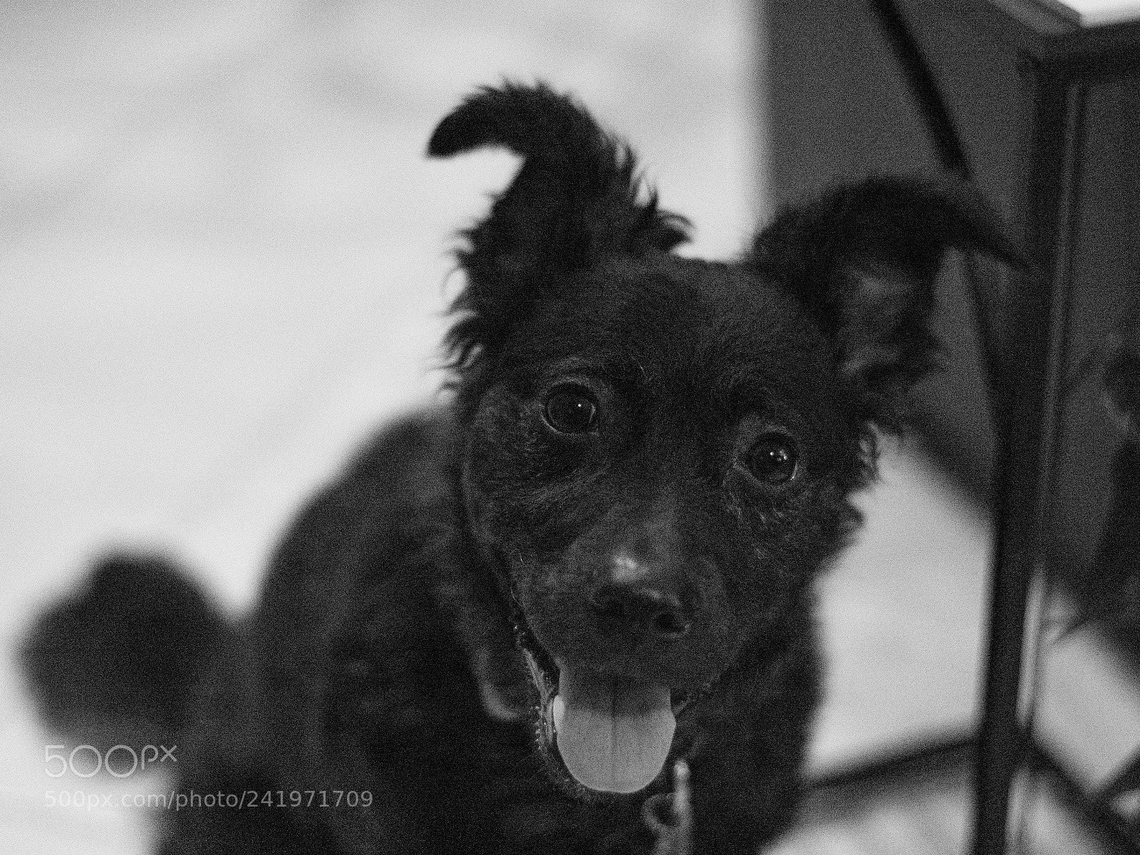 Nikon D3400 sample photo. Esmeralda photography