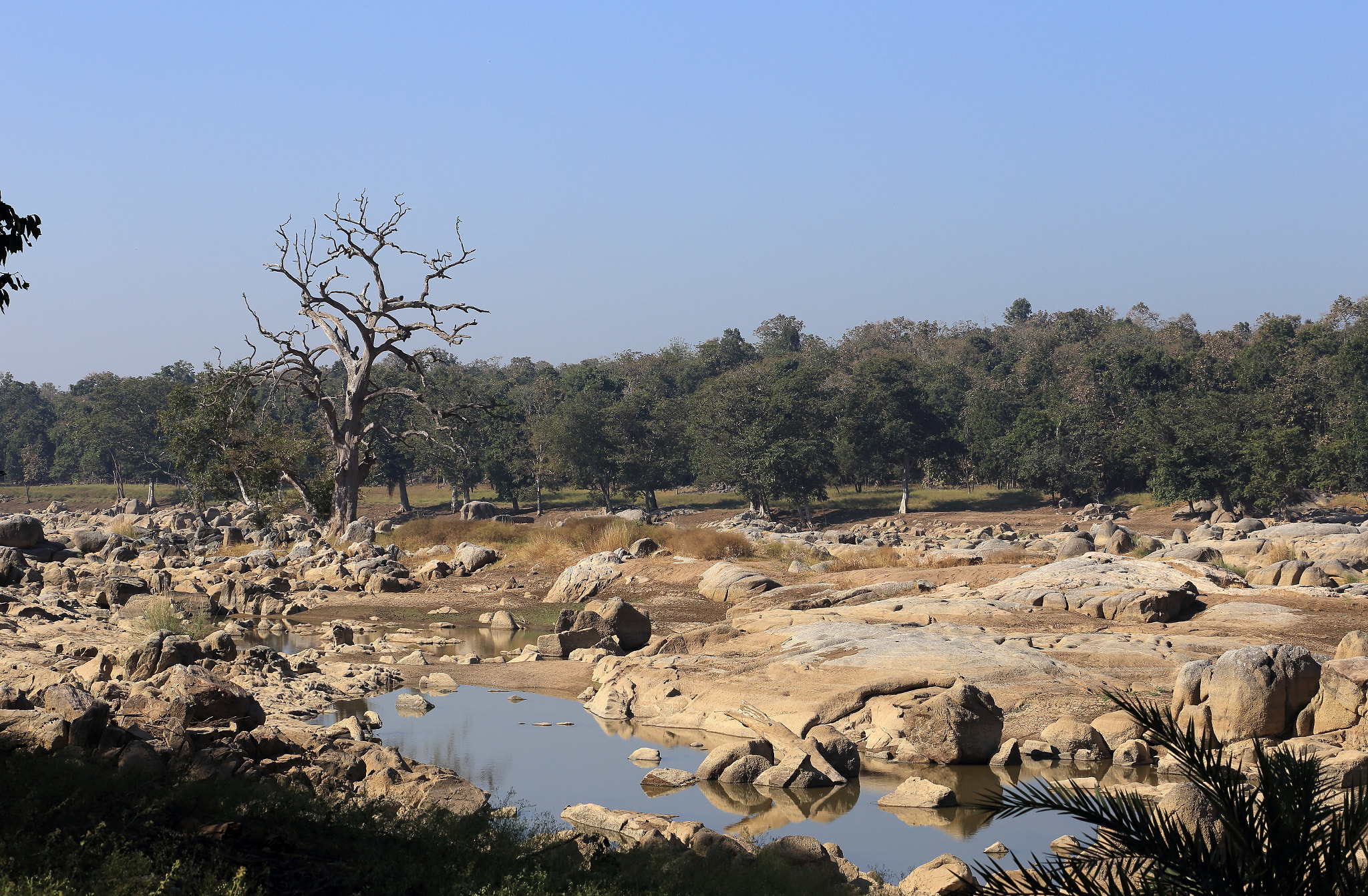 Canon EF 70-300mm F4-5.6L IS USM sample photo. Img elements of nature photography