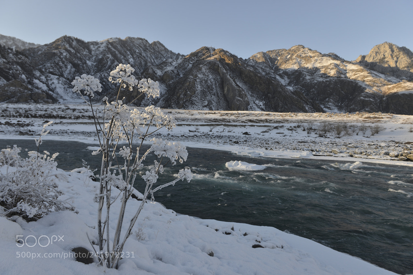 Nikon D800E sample photo. Katun river in winter photography