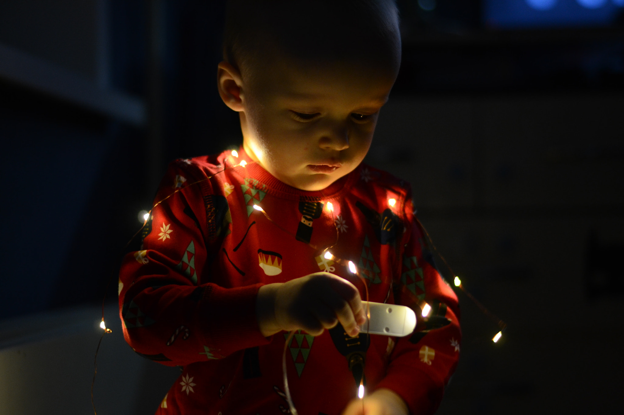 Nikon D3100 + Nikon AF-S Nikkor 50mm F1.8G sample photo. Ёлка photography