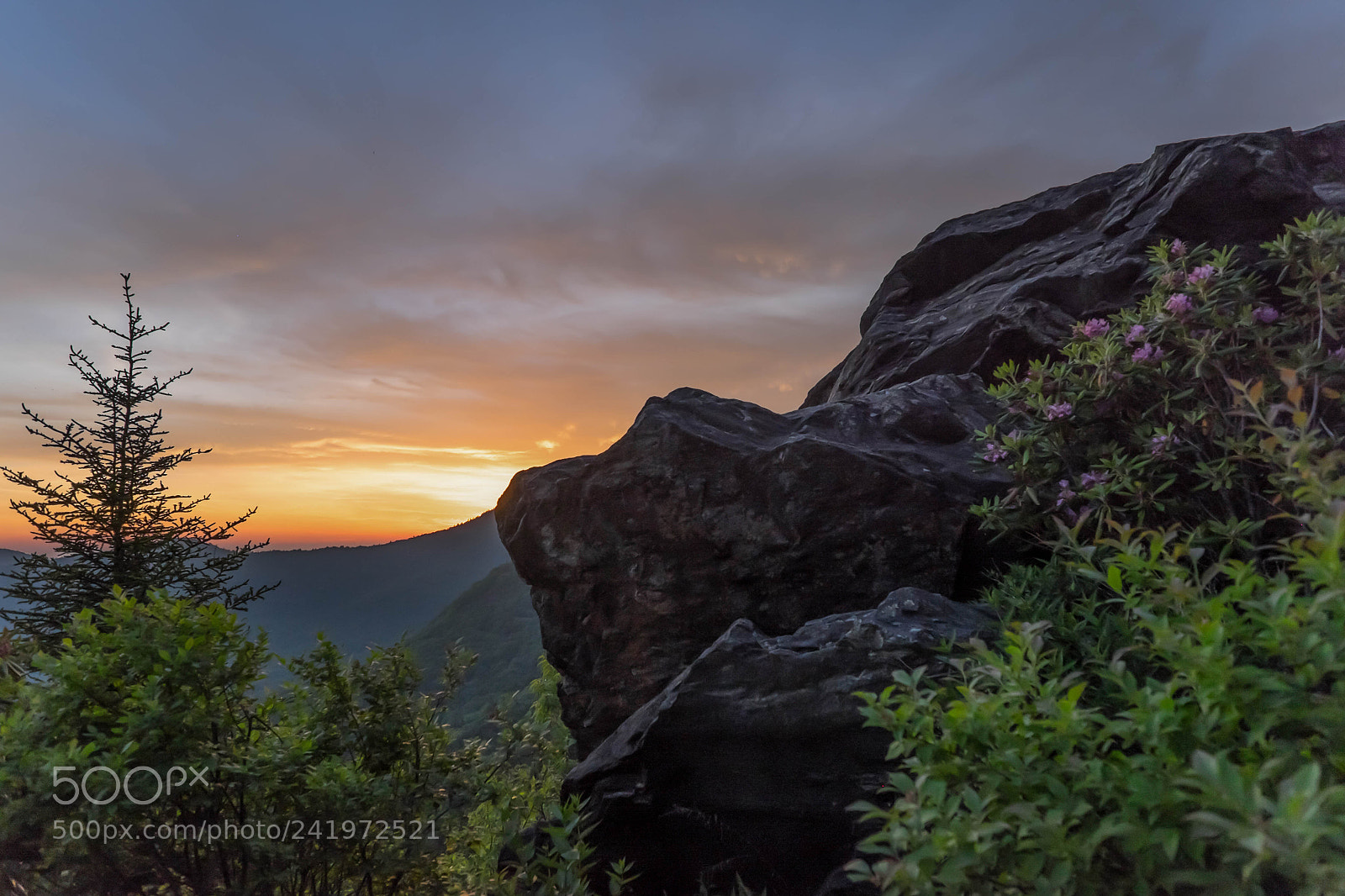 Fujifilm X-E2 sample photo. Blue ridge parkway photography