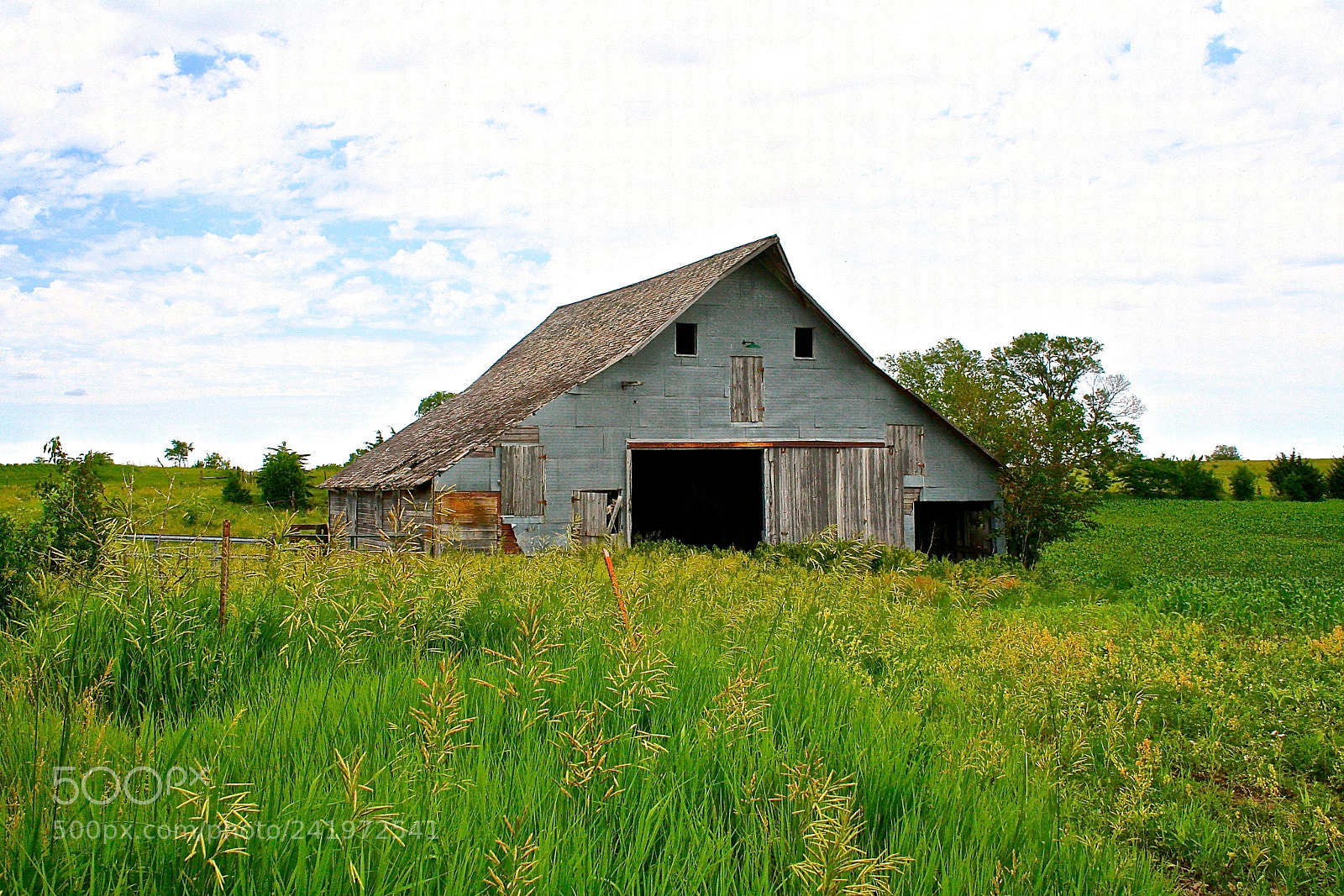 Canon EOS 350D (EOS Digital Rebel XT / EOS Kiss Digital N) sample photo. Spooky barn photography