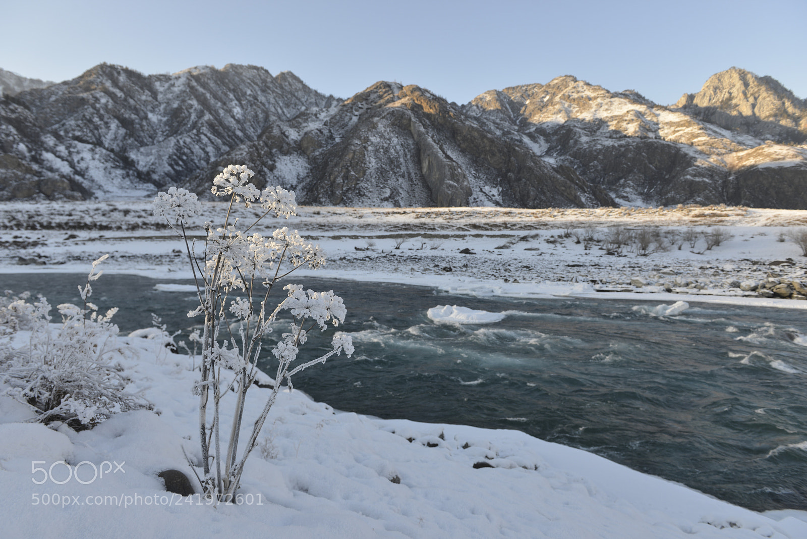 Nikon D800E sample photo. Katun river in winter photography