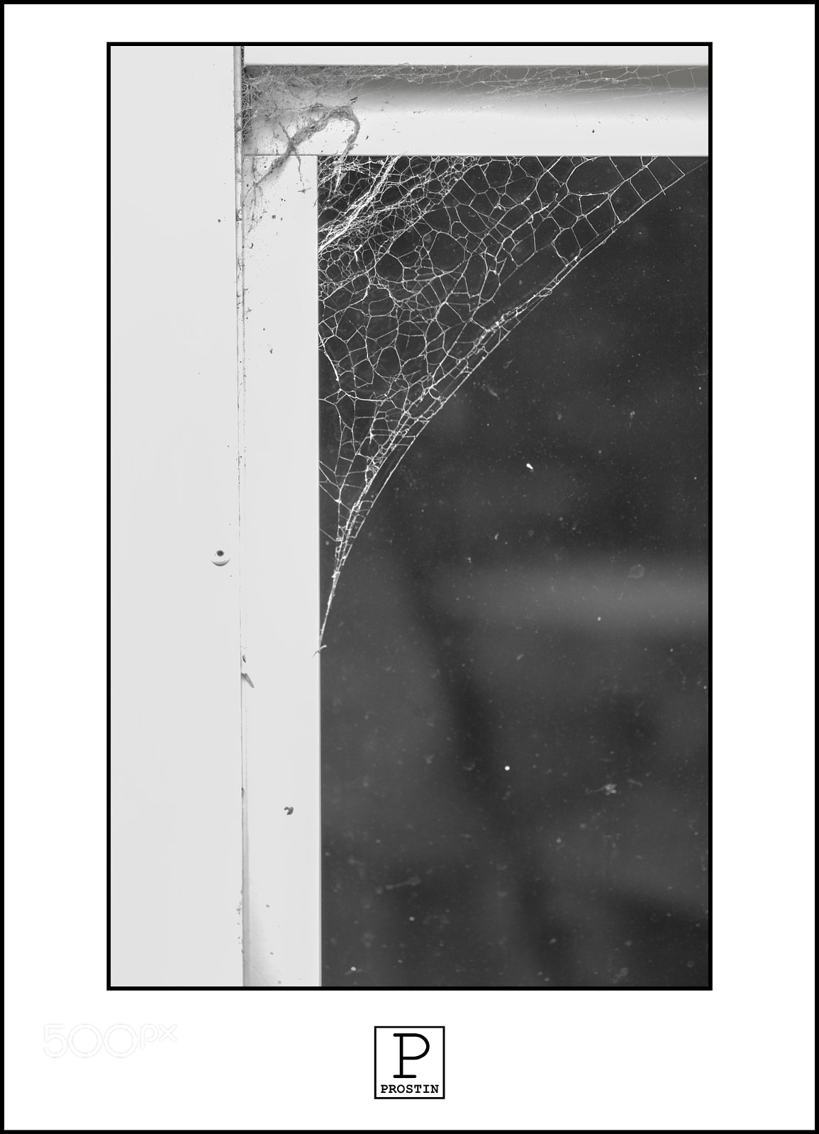 Fujifilm X-T20 sample photo. Spider web photography