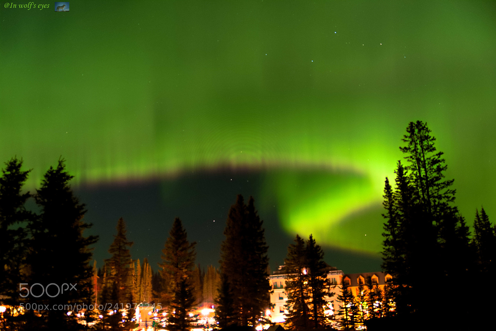 Nikon D810 sample photo. Northern light, lake louis photography