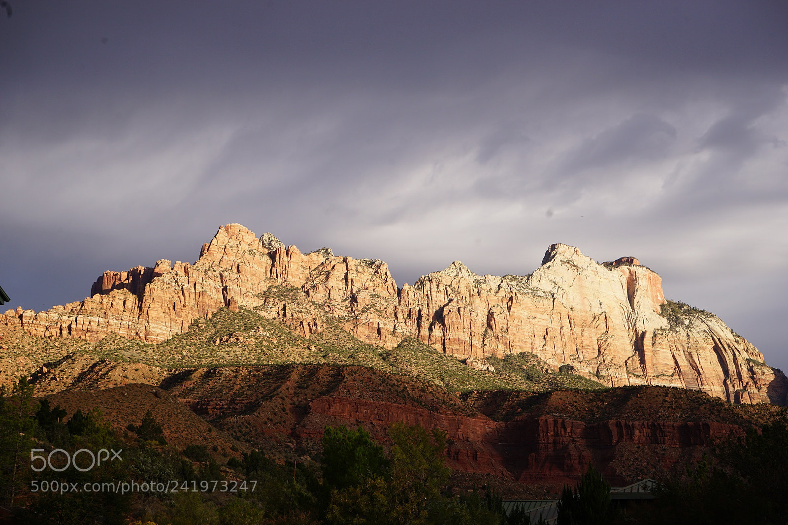 Sony a7 II sample photo. Zion n.p photography