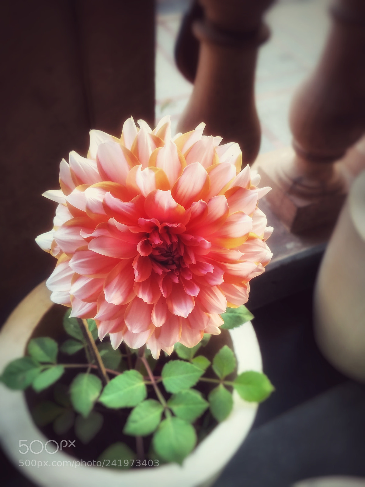 Xiaomi Redmi 3S sample photo. Hdr photography