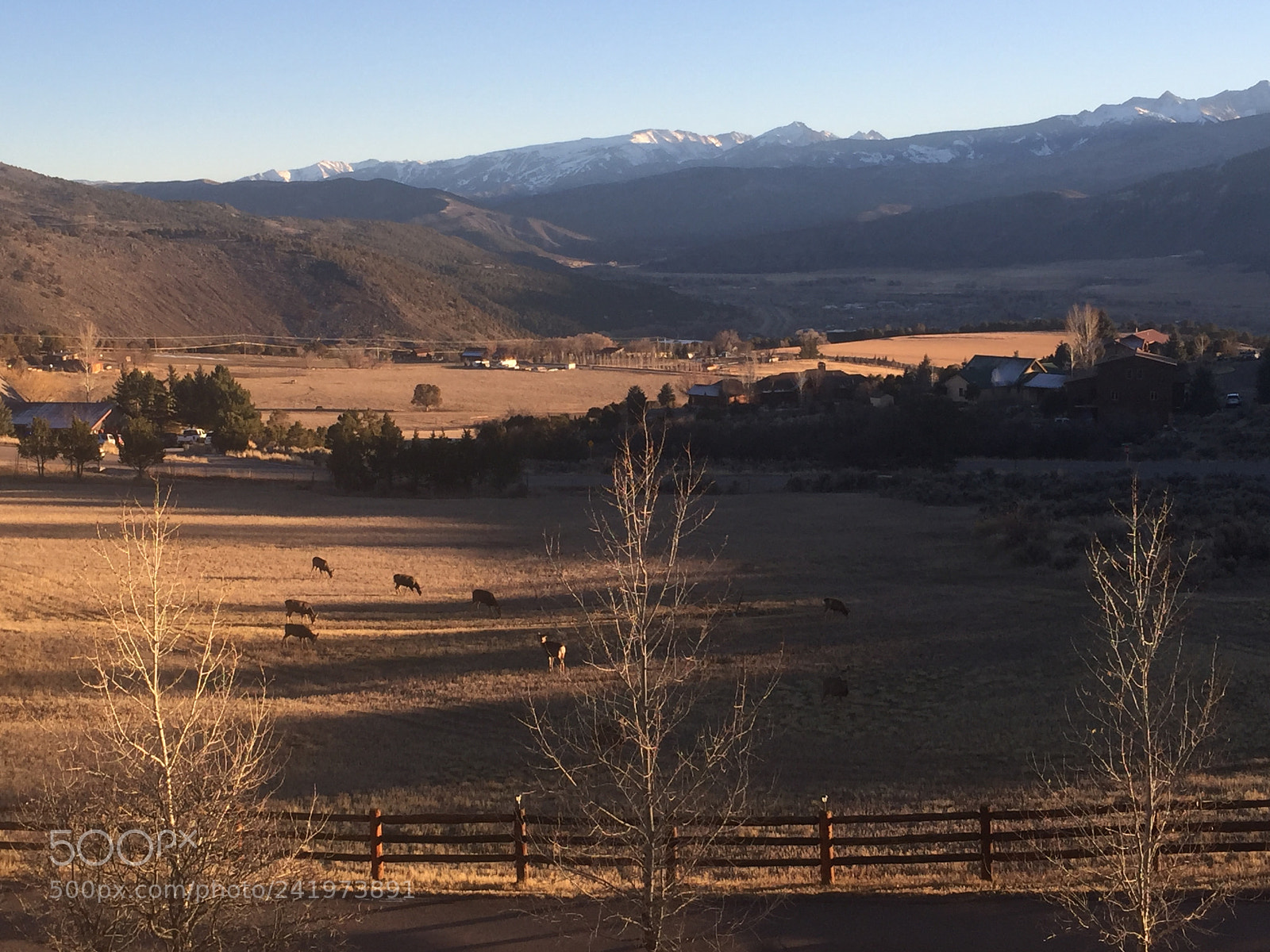 Apple iPhone 6 Plus sample photo. Long shadows below aspen photography