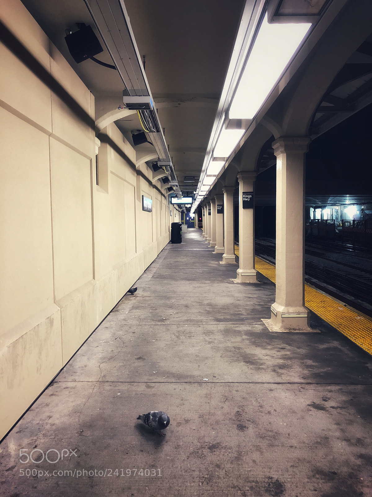 Apple iPhone 8 Plus sample photo. Untitled photography