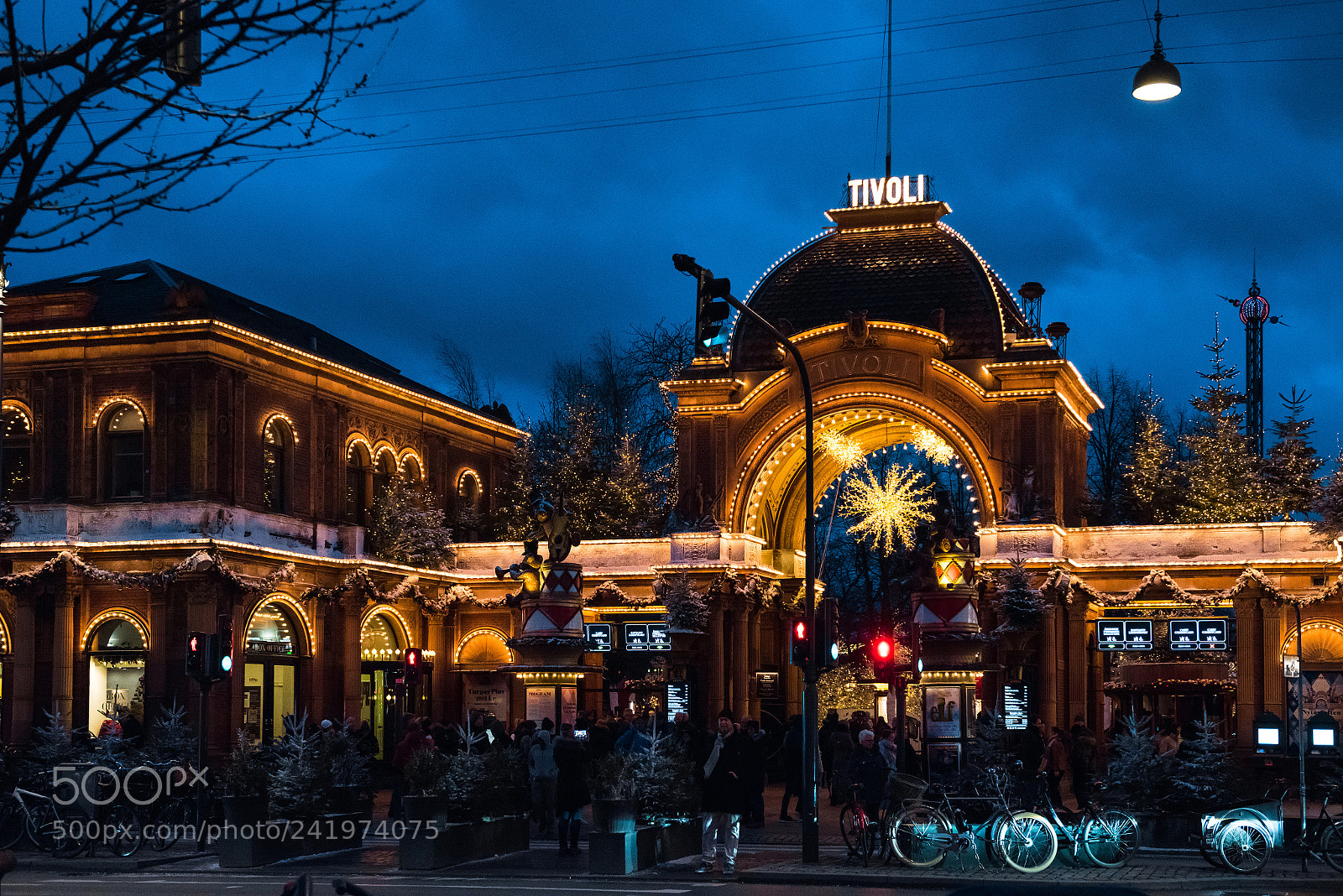 Nikon D810 sample photo. Tivoli photography