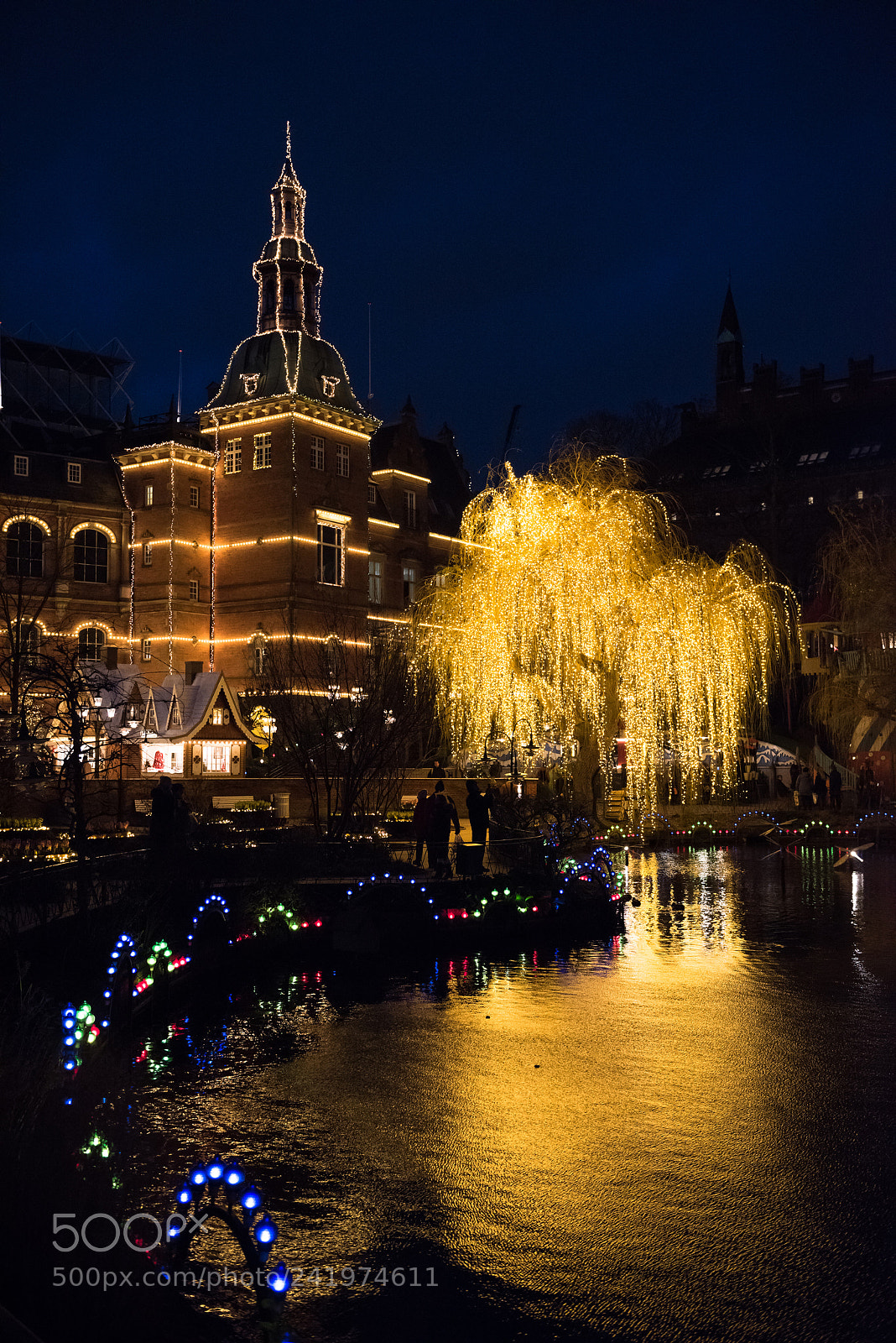 Nikon D810 sample photo. Tivoli photography