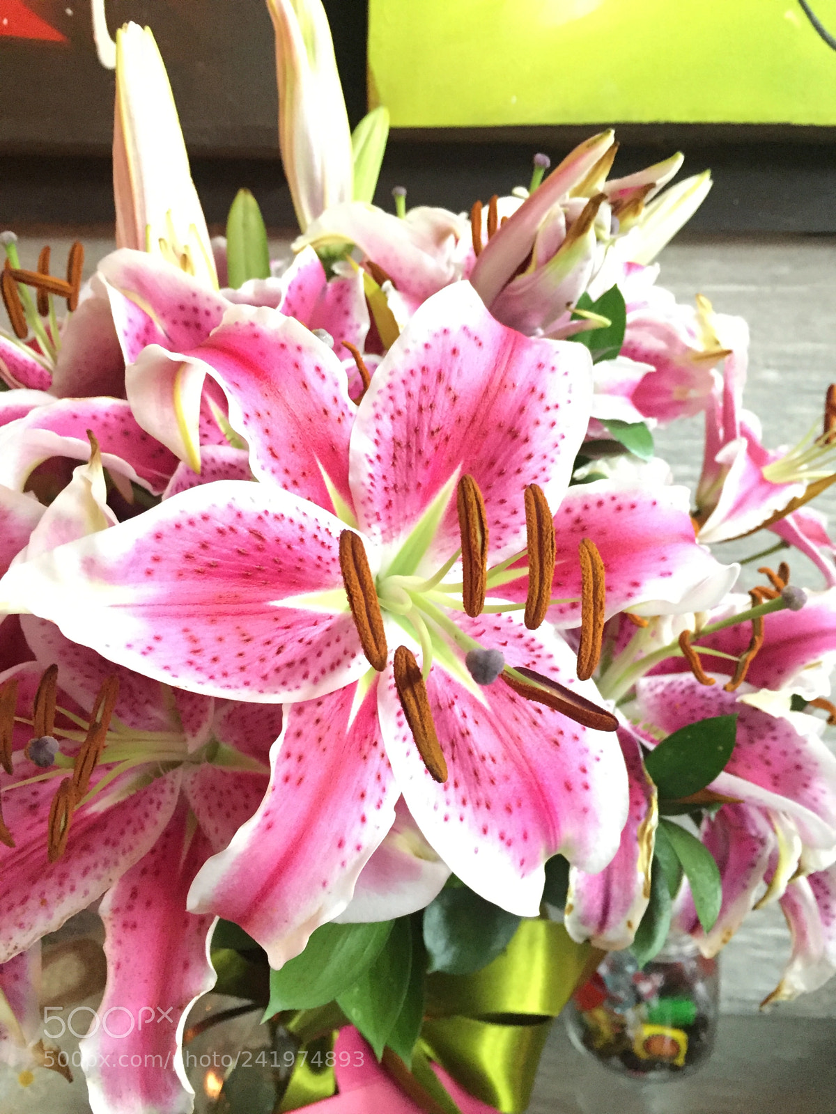 Apple iPhone 6 sample photo. My favorite flowers ? photography