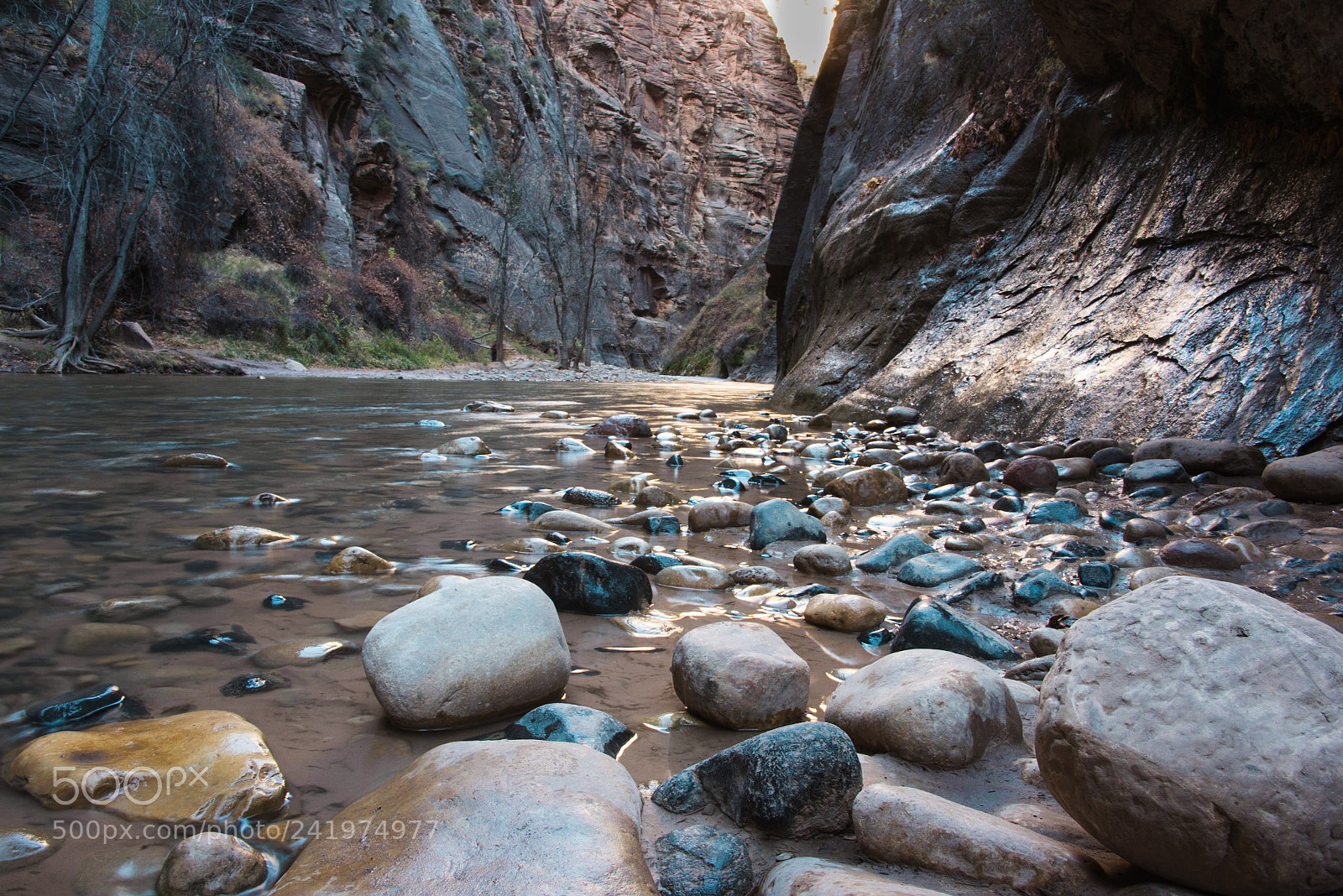 Nikon D810 sample photo. Flow photography