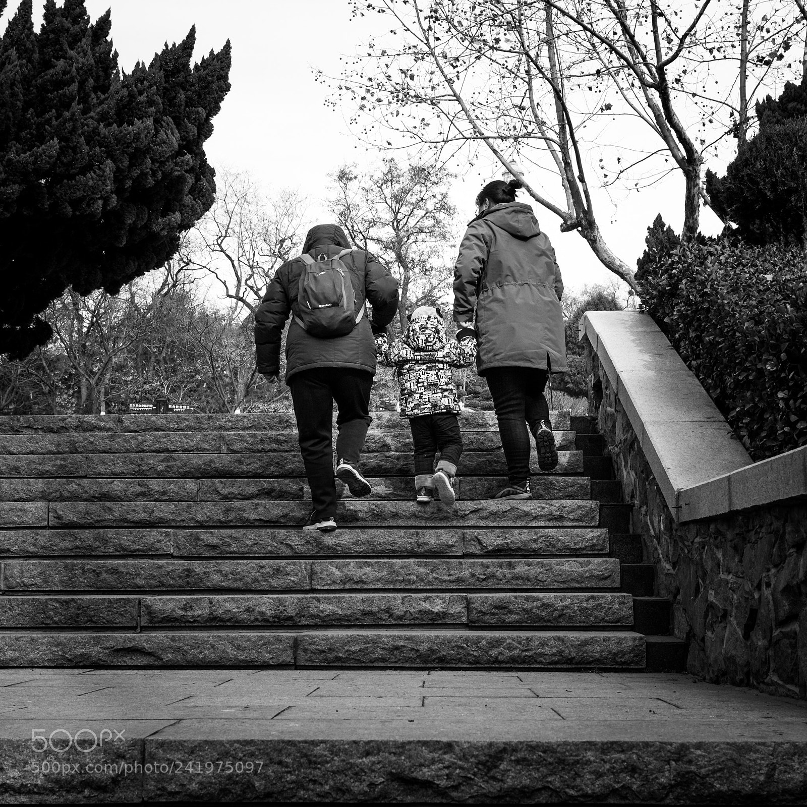Canon EOS 100D (EOS Rebel SL1 / EOS Kiss X7) sample photo. Help is sometimes needed photography