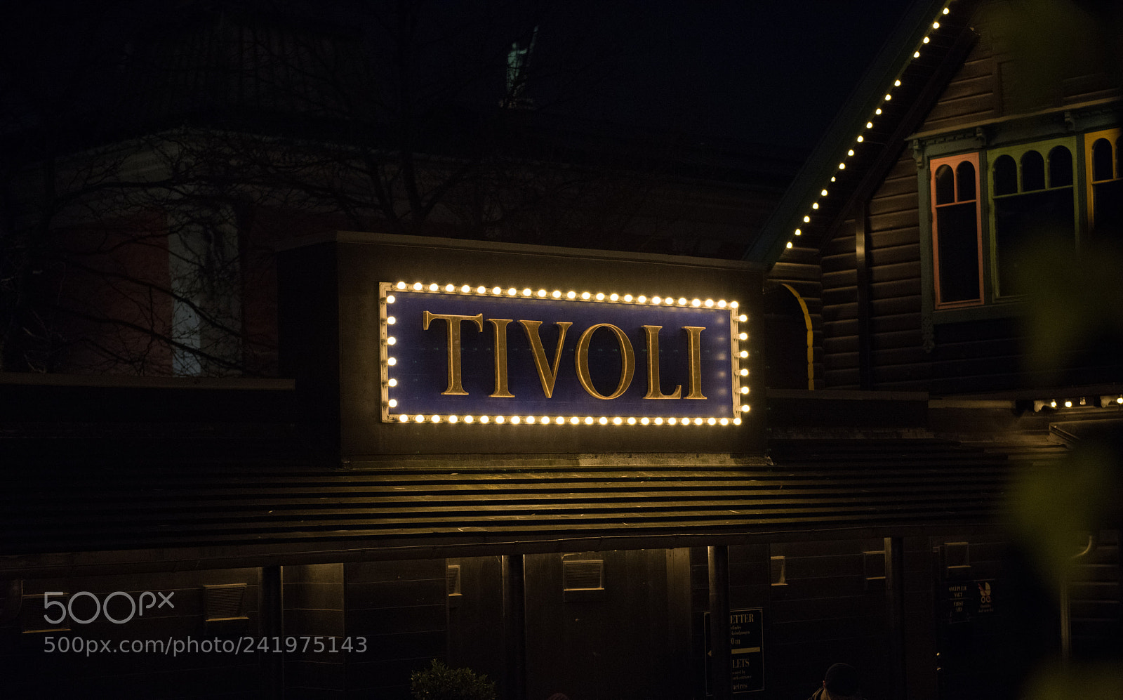 Nikon D810 sample photo. Tivoli photography