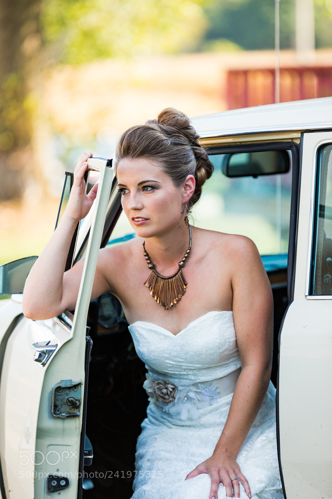 Canon EOS 6D Mark II sample photo. Stunning photography