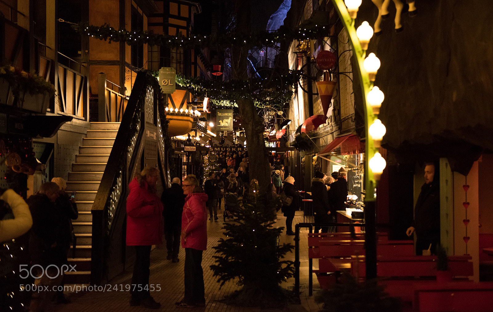 Nikon D810 sample photo. Tivoli photography