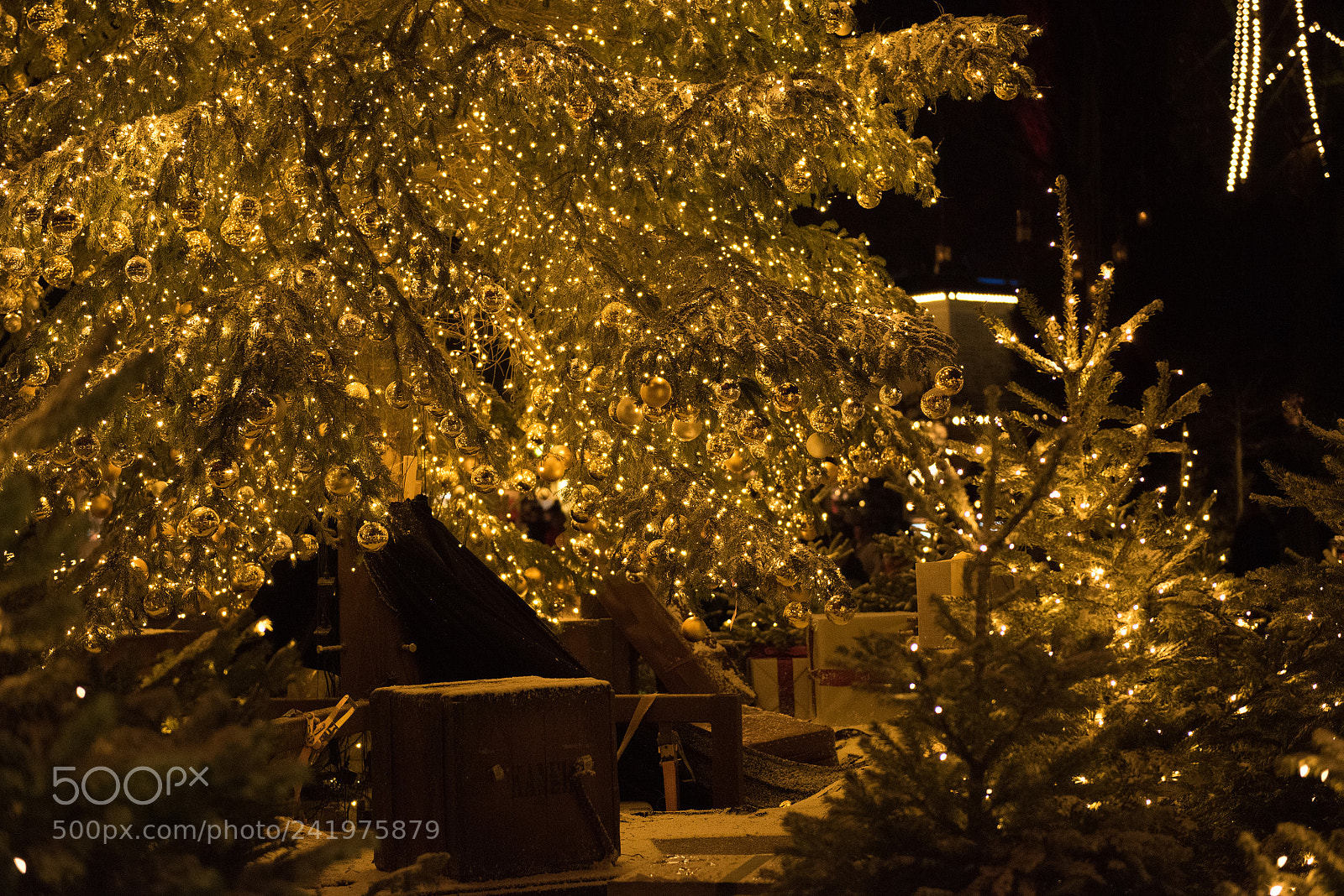 Nikon D810 sample photo. Tivoli photography