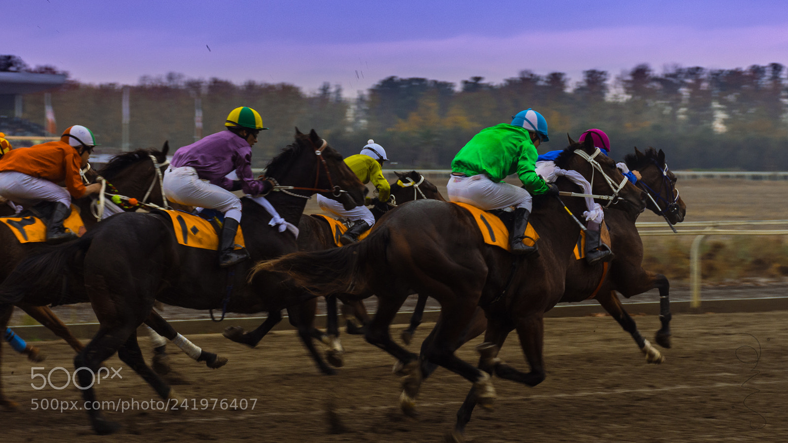 Nikon D7200 sample photo. Gonbad horse-riding competitions photography