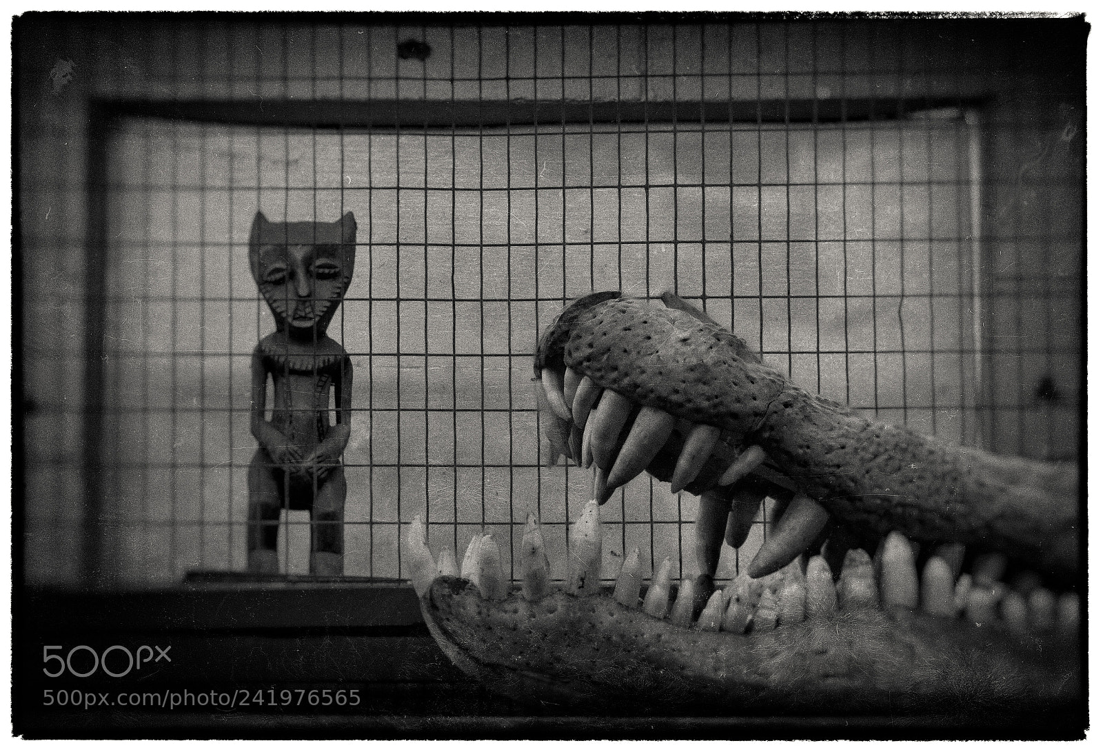 Nikon D7100 sample photo. Snake farm #2 photography