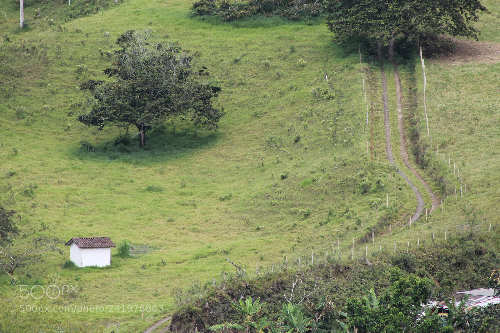 Canon EOS 1100D (EOS Rebel T3 / EOS Kiss X50) + EF75-300mm f/4-5.6 sample photo. Paisaje photography