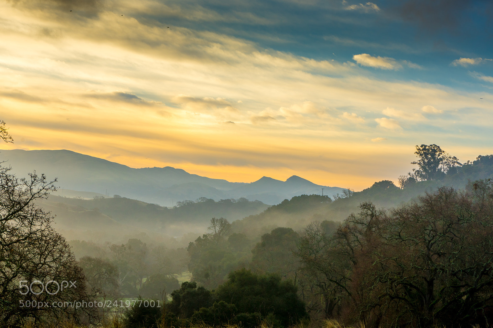 Sony a7 II sample photo. Pleasanton ridge photography