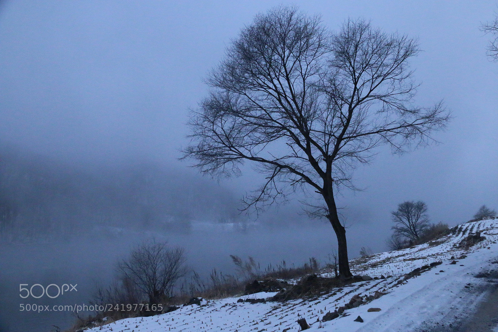 Canon EF-S 18-200mm F3.5-5.6 IS sample photo. Linjiang wind photography