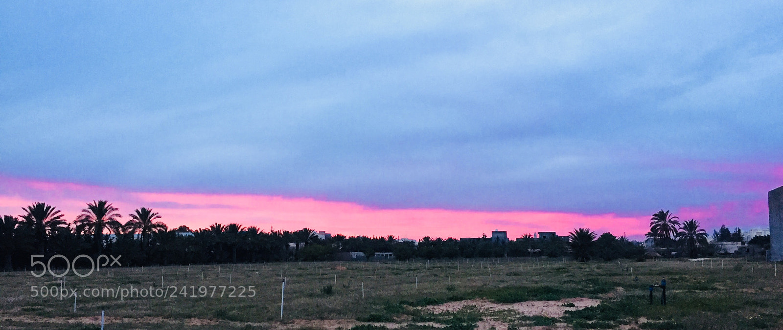 Apple iPhone 6 sample photo. Libya ?? photography
