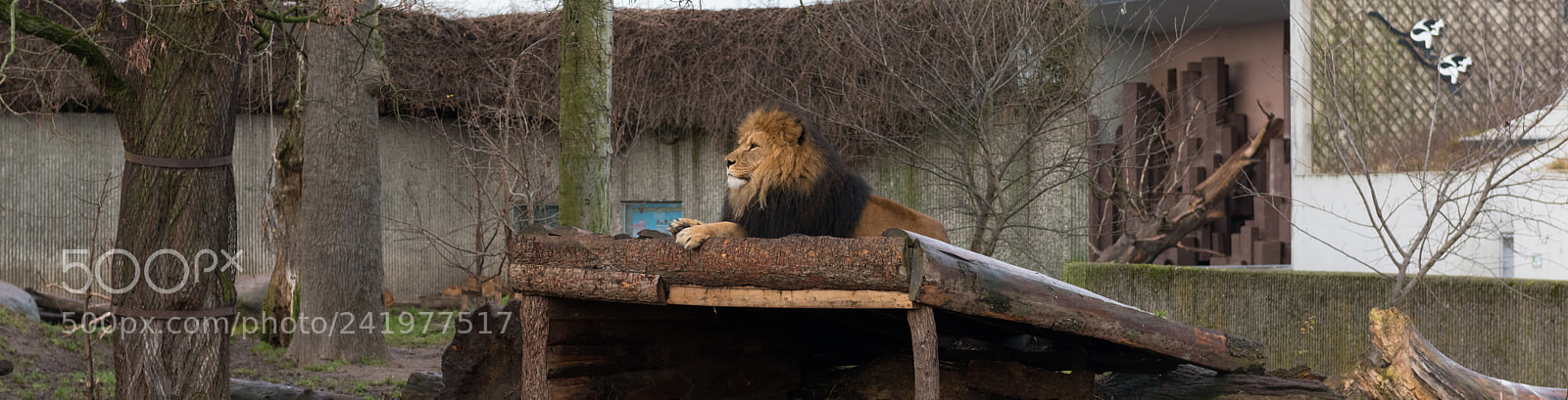 Nikon D810 sample photo. Zoo photography